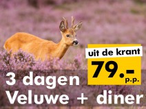 4* Fletcher Hotel De Buunderkamp, Wolfheze 4* Fletcher Hotel De Buunderkamp, Wolfheze